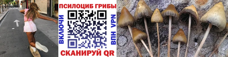 даркнет телеграм  MEGA tor  Горячий Ключ  Псилоцибиновые грибы MAGIC MUSHROOMS 